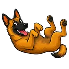 The Family Roast Belgian Malinois mascot rolling belly-up after a good roast